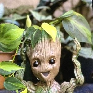Groot planter